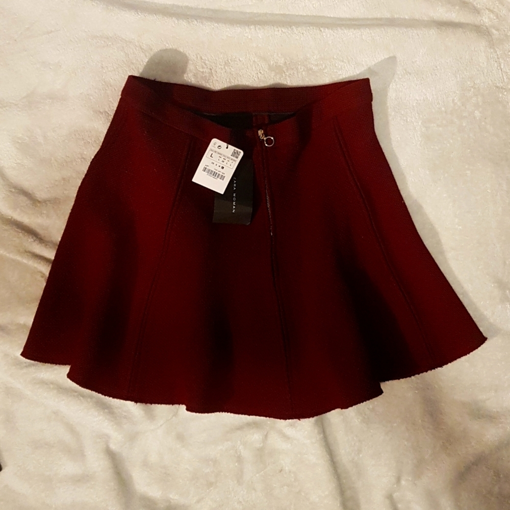Zara Burgundy Skater Skirt